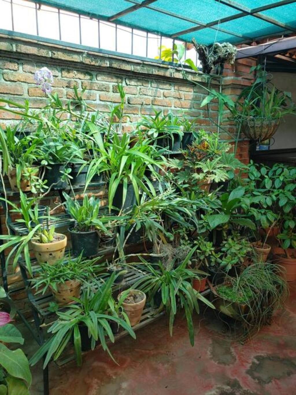 Enjoy Ac In Our Guest Room At Inn Ajijic Ngoại thất bức ảnh